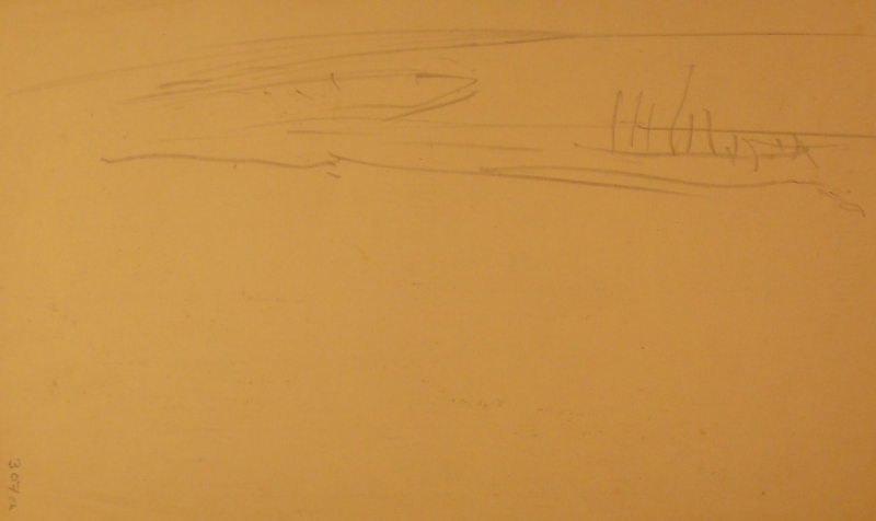 3767.jpg
