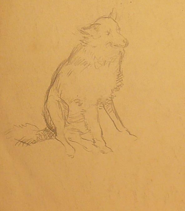 Recto, study of hanging drapery. Verso: seated dog (one of several drawings of same dog)